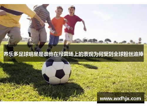 养乐多足球明星是谁他在绿茵场上的表现为何受到全球粉丝追捧