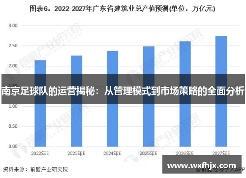 南京足球队的运营揭秘：从管理模式到市场策略的全面分析
