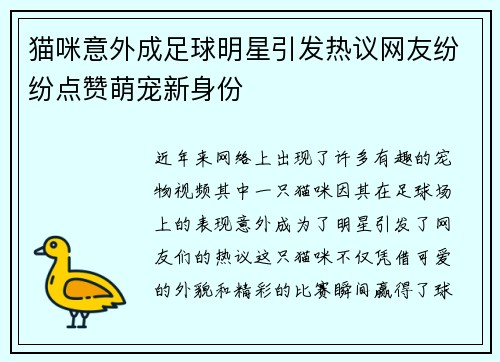 猫咪意外成足球明星引发热议网友纷纷点赞萌宠新身份