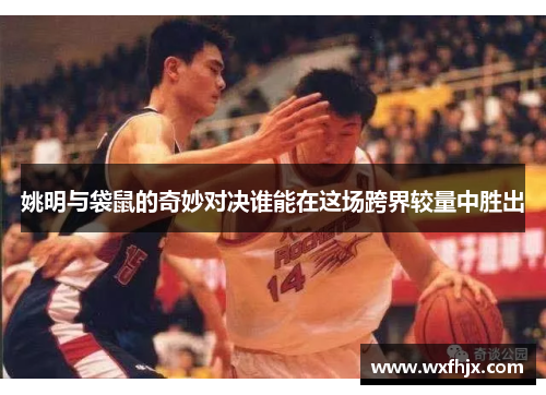 姚明与袋鼠的奇妙对决谁能在这场跨界较量中胜出