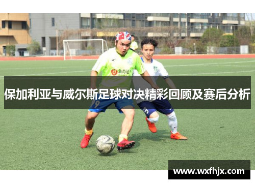 保加利亚与威尔斯足球对决精彩回顾及赛后分析